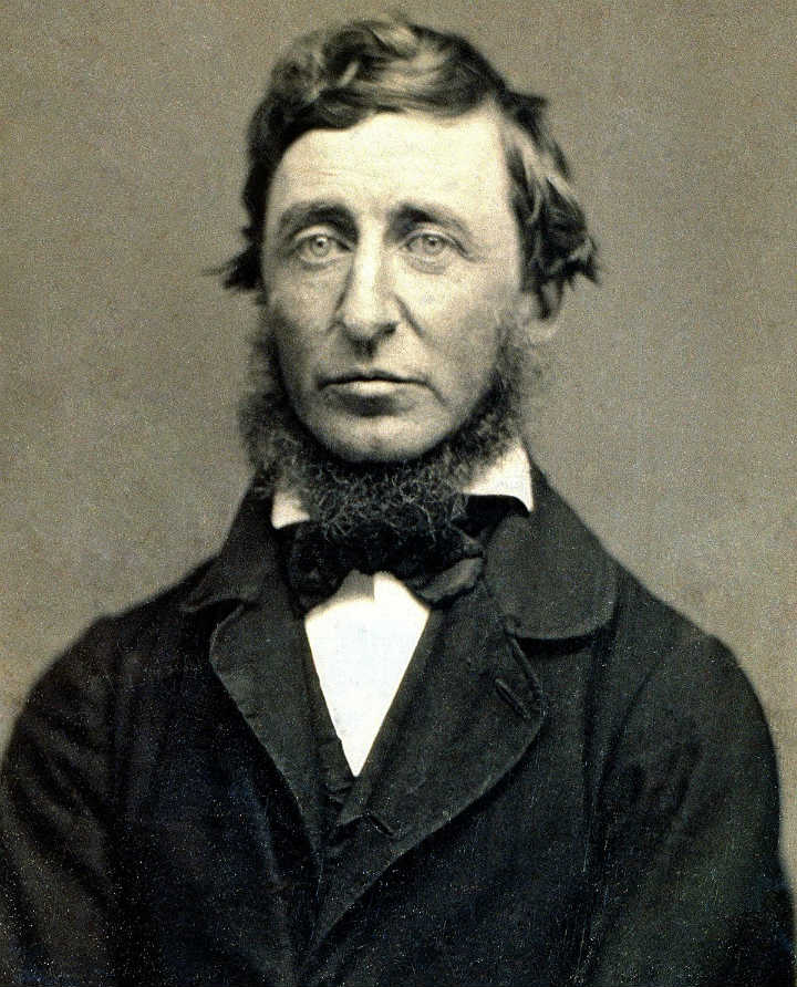 Knight on Thoreau