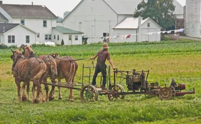 Amish Beliefs Forbid Them From Using Technology