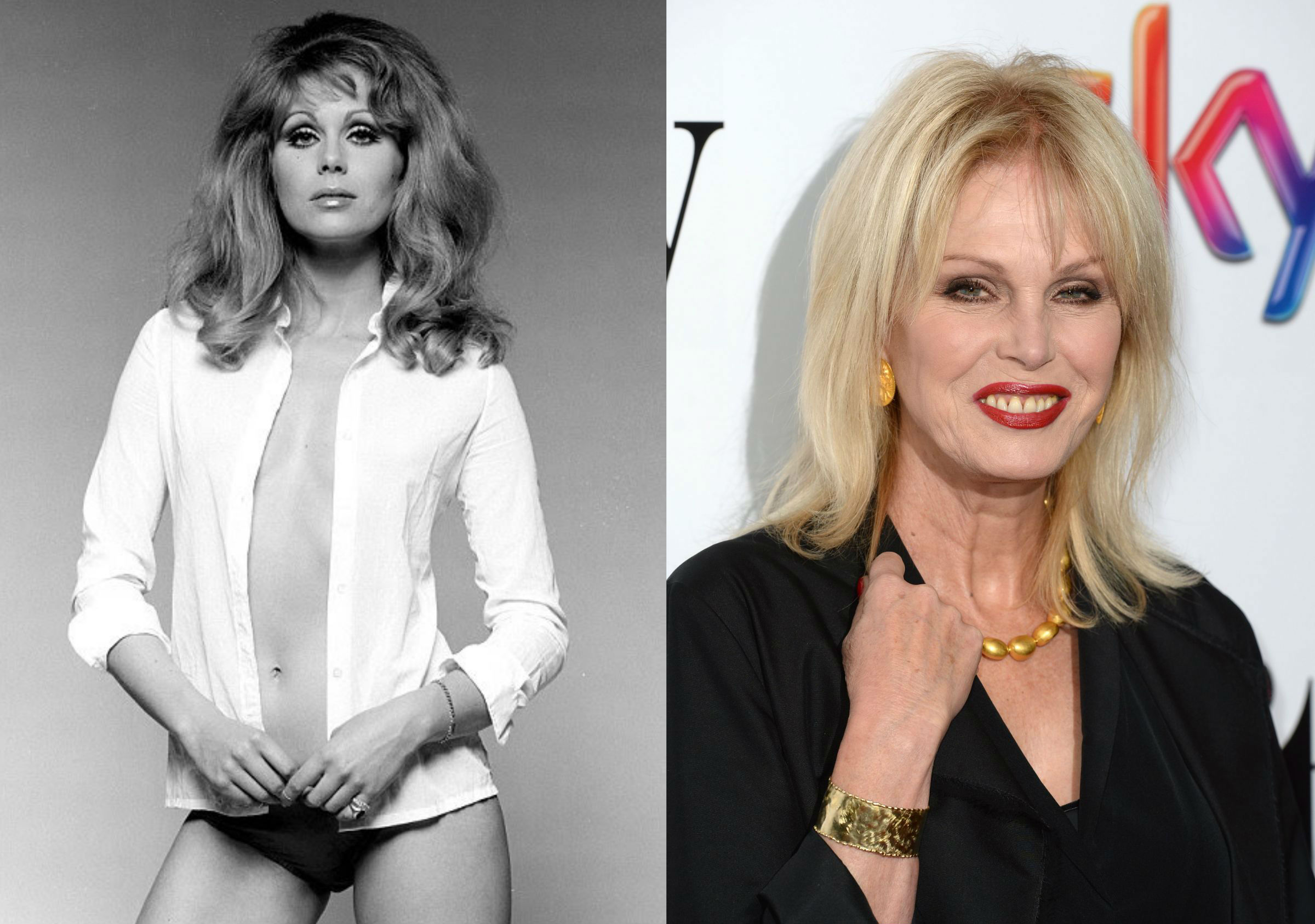 Joanna Lumley