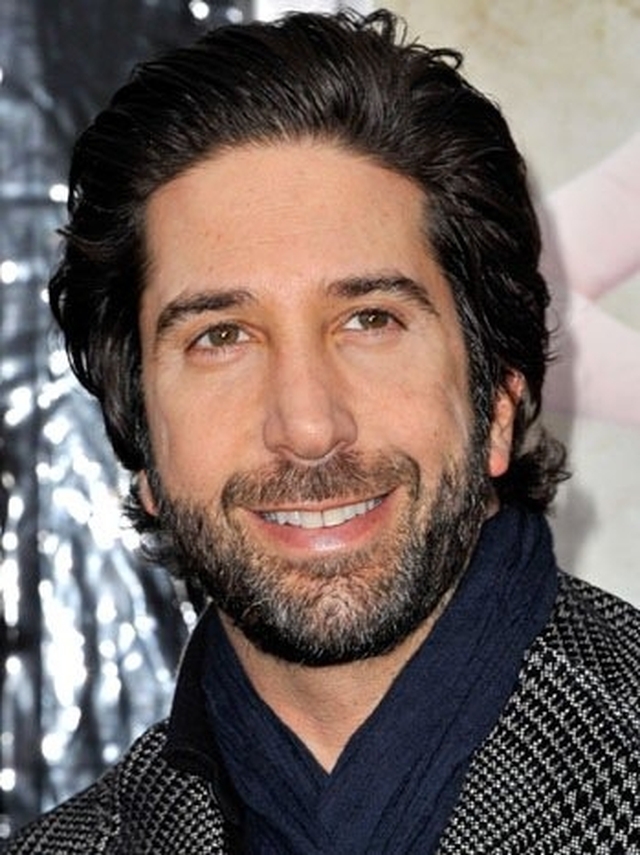 David Schwimmer Now