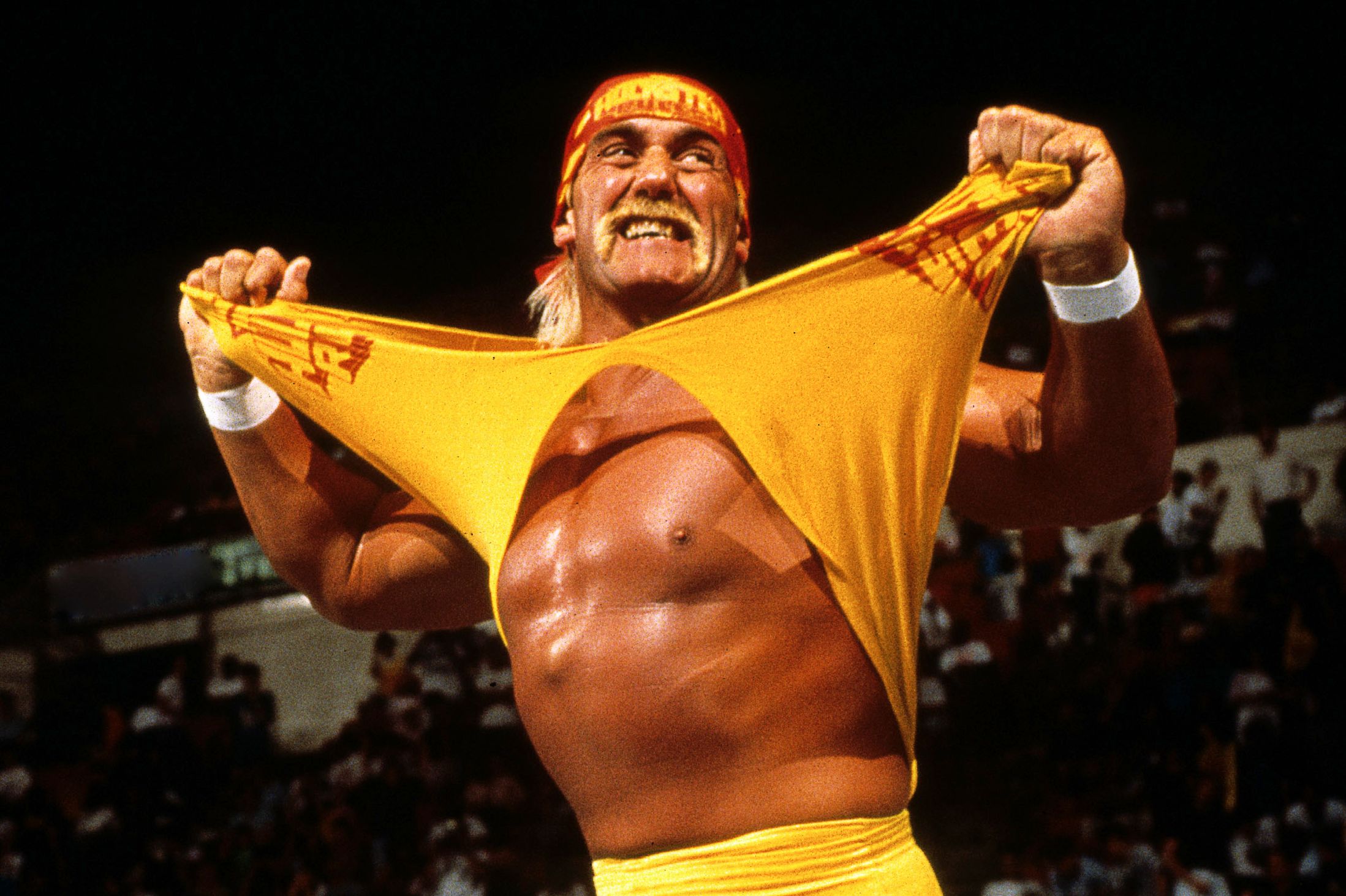 Hulk Hogan - Then