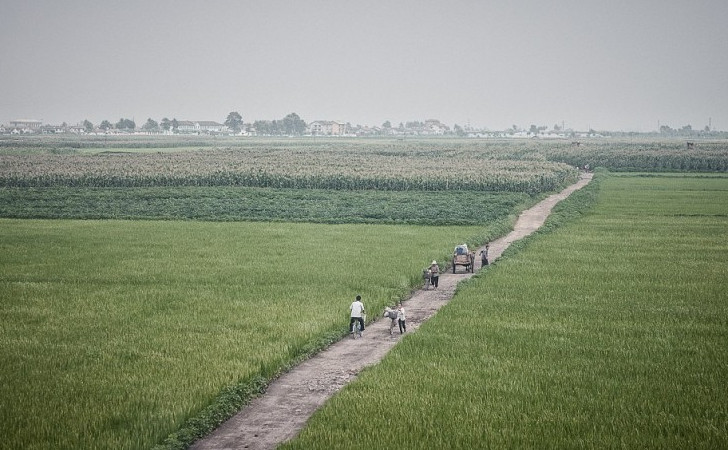 North Korea's vest farmland