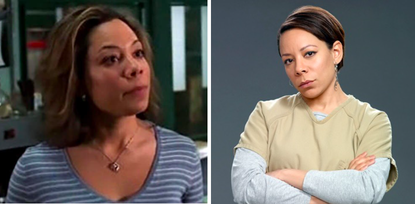 Selenis Leyva (Detective Mariluz Rivera)